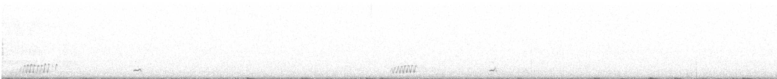 White-bellied Seedsnipe - ML584789671