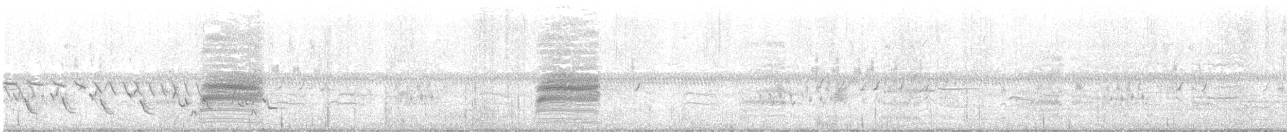 Loggerhead Shrike - ML584792391