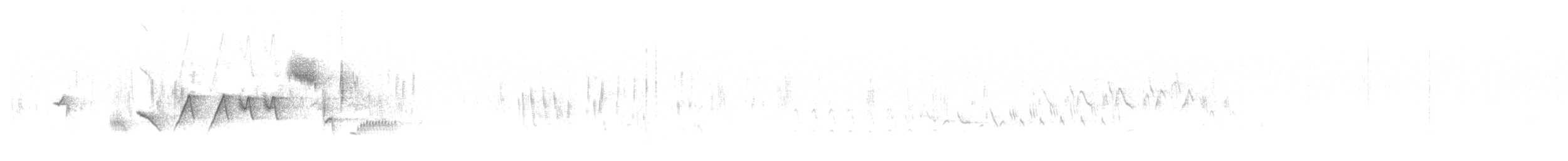 ゴマフスズメ（schistacea グループ） - ML584794091
