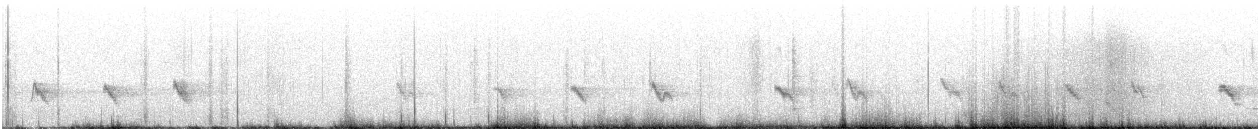 Американский вьюрок (griseonucha) - ML584796671