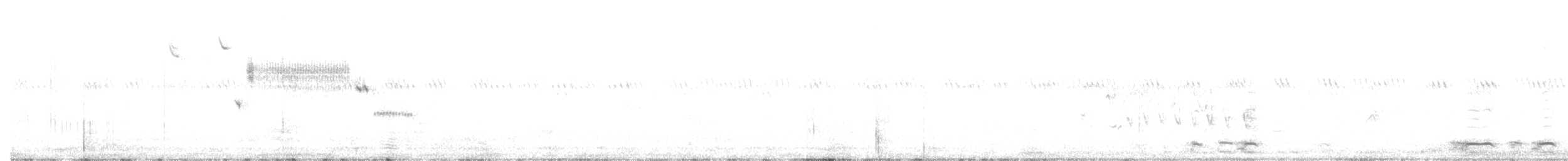 Savannah Sparrow (Savannah) - ML584807131
