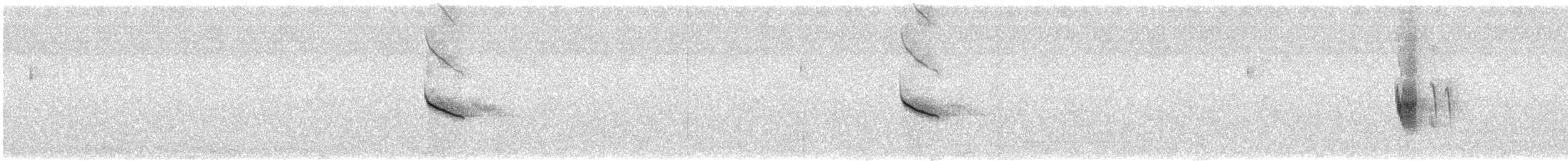 Plectrophane des neiges - ML584810901