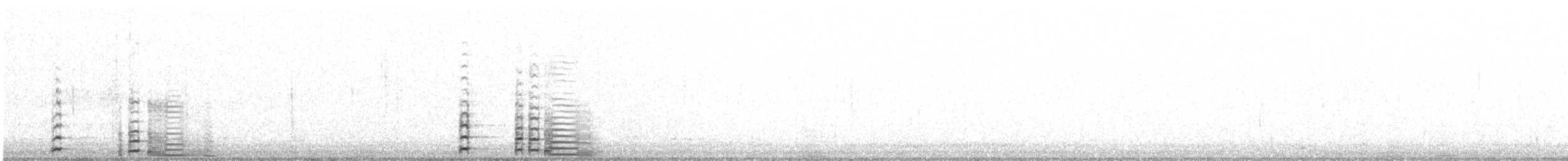 Coscoroba blanc - ML584813251