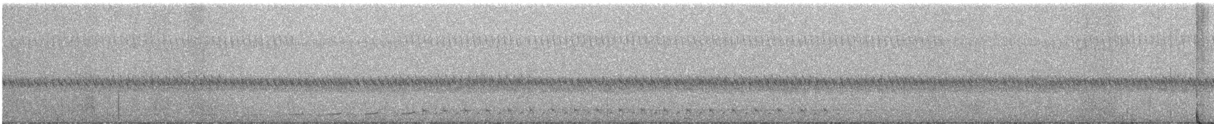 Spotted Nightjar - ML584815981