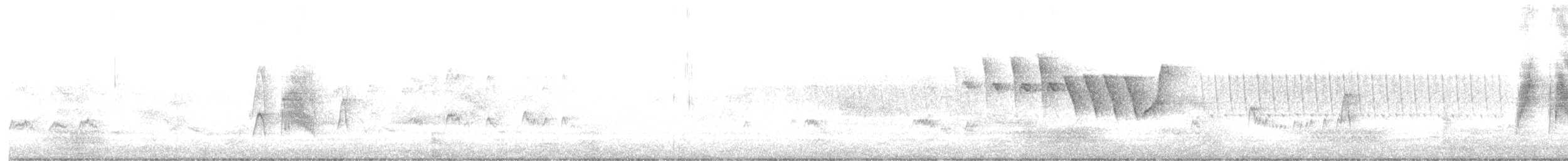 tyranovec vrbový - ML584854781