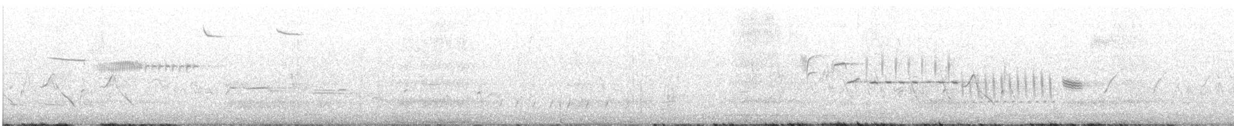 Cassin Serçesi - ML584856401