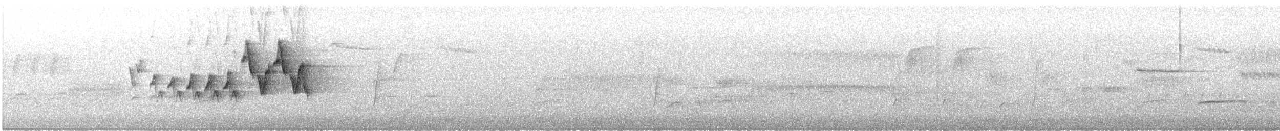 Chestnut-sided Warbler - ML584865541
