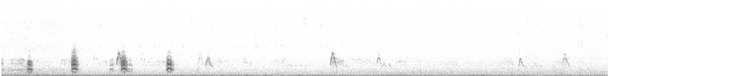 Бронзовокрылая утка - ML584865961