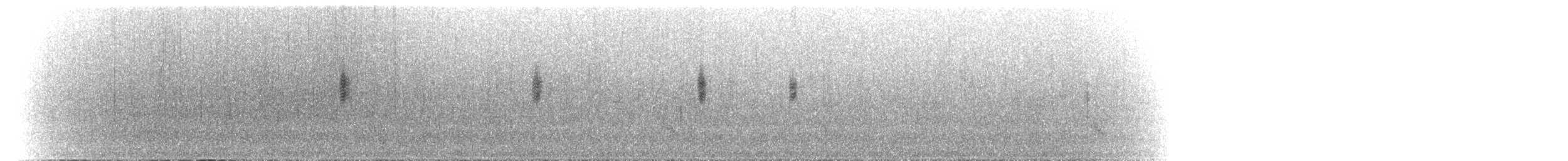 White-throated Dipper - ML584910401