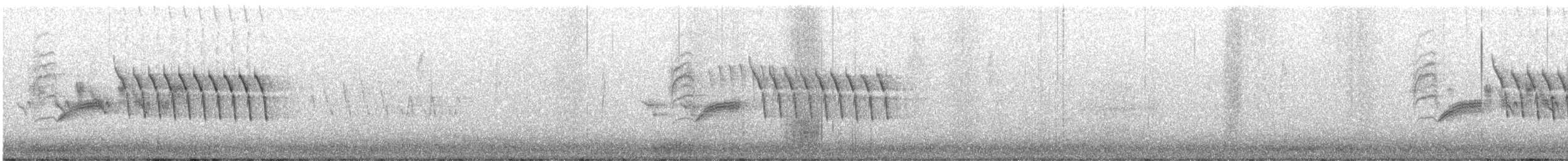 Bewick's Wren - ML584939621