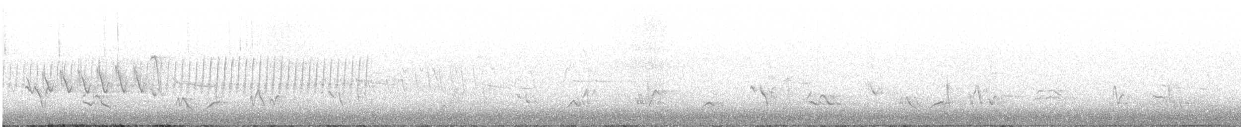 Grace's Warbler - ML584939891