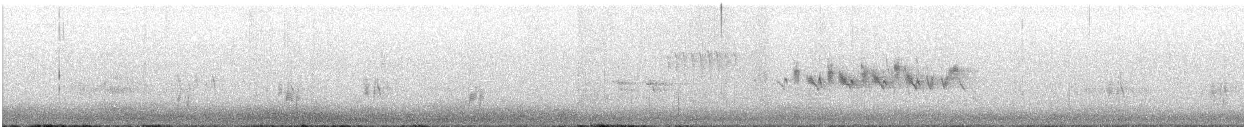 Gray Flycatcher - ML584940951