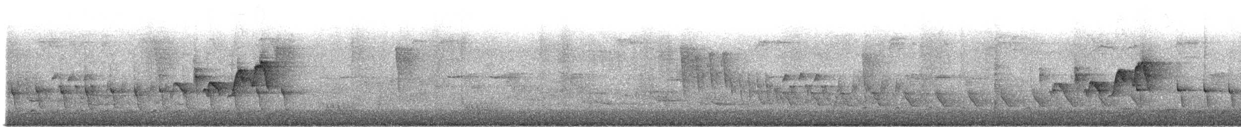 Magnolia Warbler - ML584954491