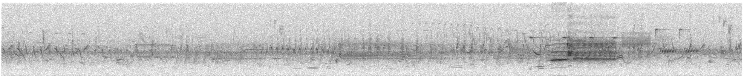 nordgulstrupe - ML584964251