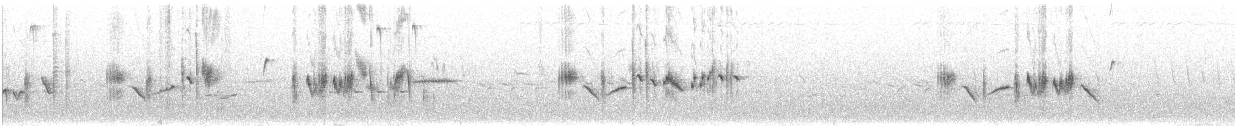 Steinschmätzer (oenanthe/libanotica) - ML584973631