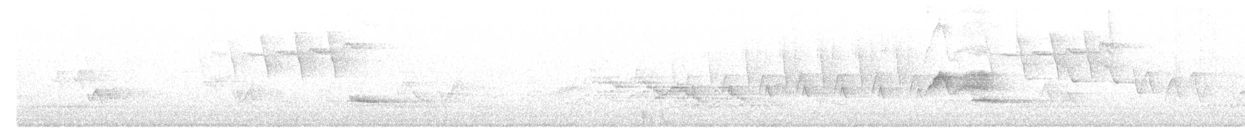 Veery - ML58498111