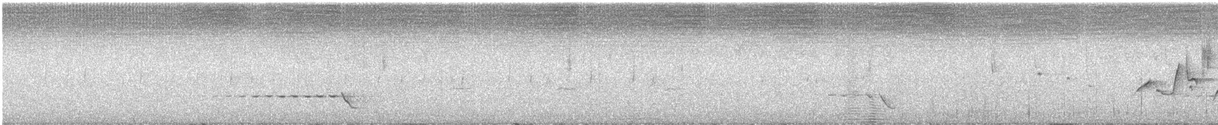 Batılı Altuni Islıkçı - ML584986011