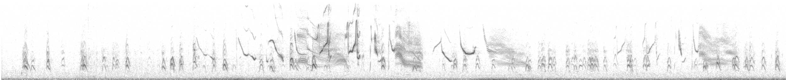 Long-tailed Meadowlark - ML584992401