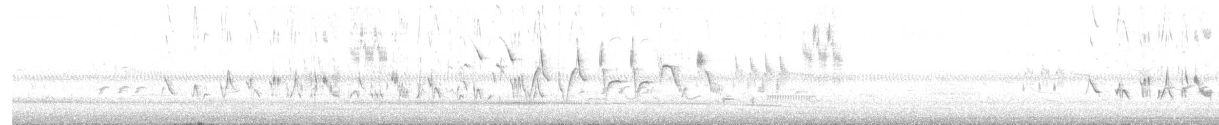 Blue Grosbeak - ML584994001