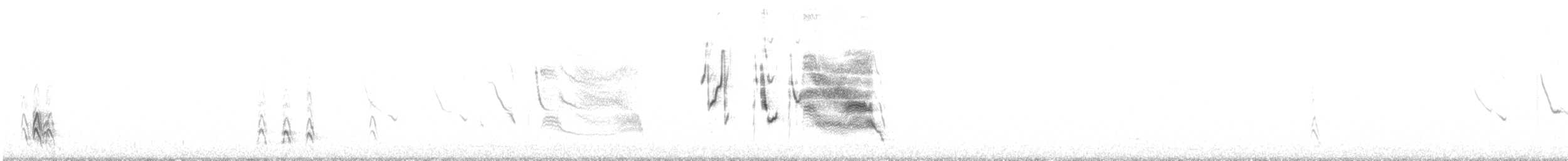 Long-tailed Meadowlark - ML584995161