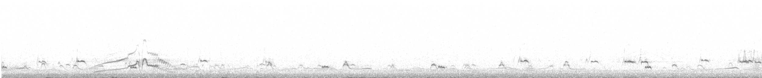 Chiloe Wigeon - ML584996861