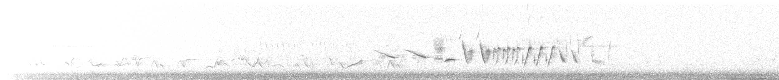 Vesper Sparrow - ML585010791