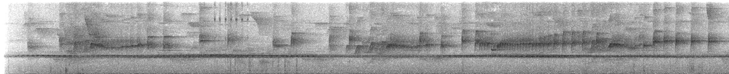 Серогрудый тенелюб - ML585066091