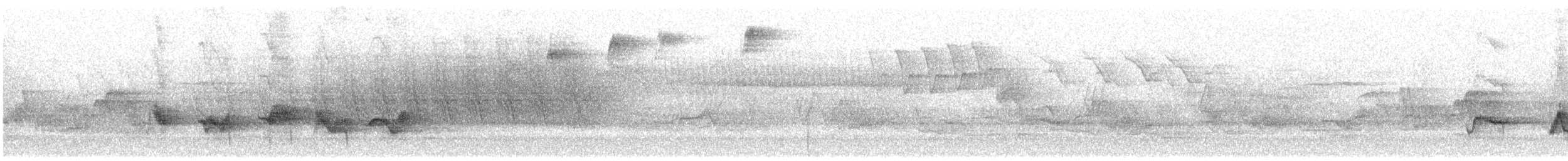 Чернокрылая пиранга - ML585072311