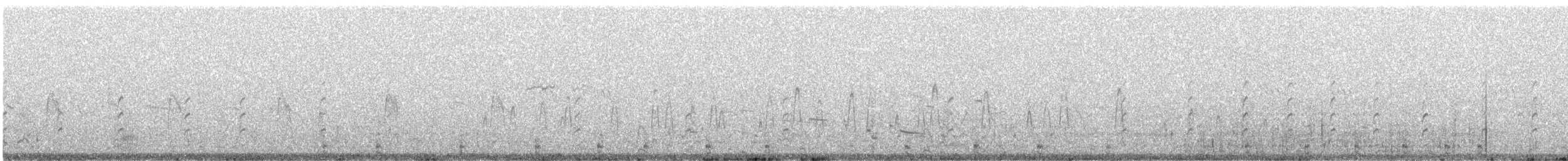 Малая морская чернеть - ML585101911
