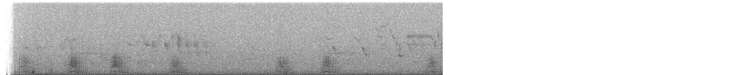 Малая морская чернеть - ML585102981