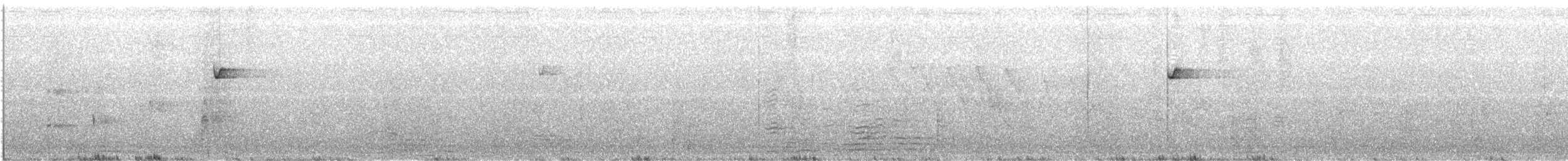 Batı Amerika Sinekkapanı (occidentalis/hellmayri) - ML585117691