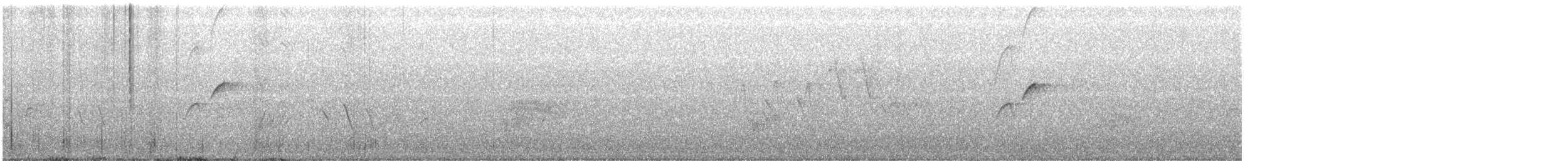 Batı Amerika Sinekkapanı (occidentalis/hellmayri) - ML585118031