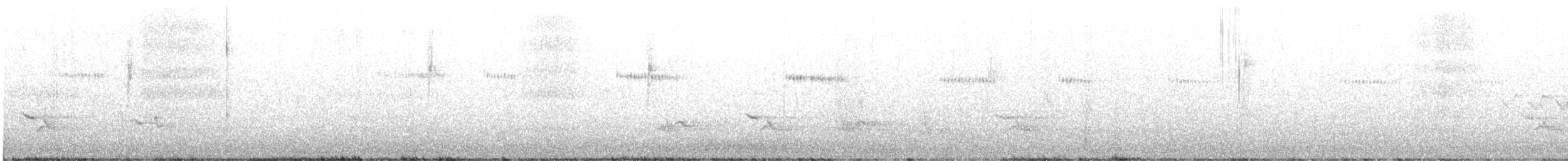 Широкохвостый колибри - ML585120661