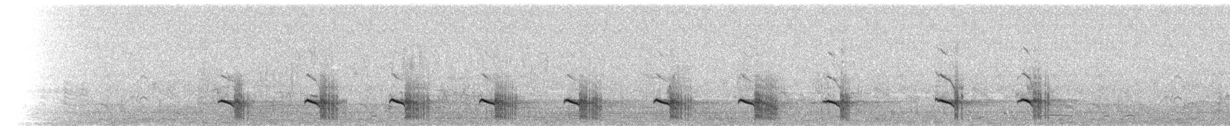 White-tailed Kite - ML585136621
