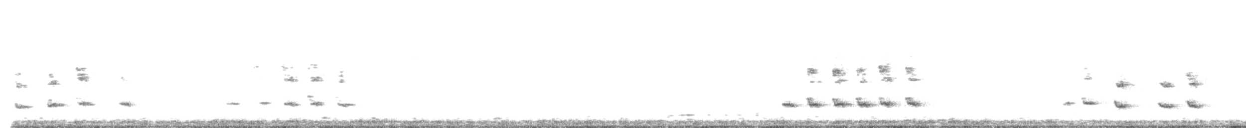 Pearly-vented Tody-Tyrant - ML585143491