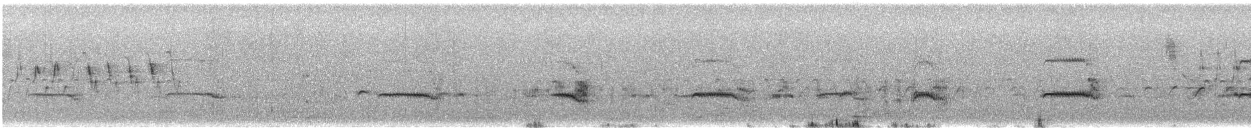 Arctic Tern - ML585211041