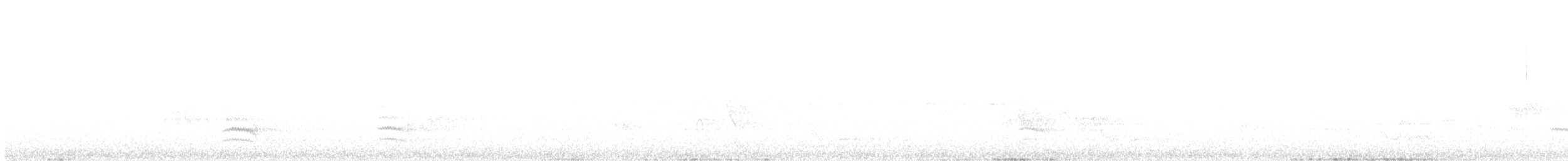 Каролинский поползень (aculeata/alexandrae) - ML585227771