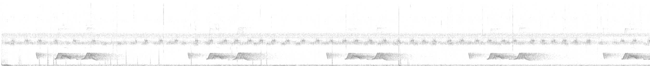 Carolinanachtschwalbe - ML58525121
