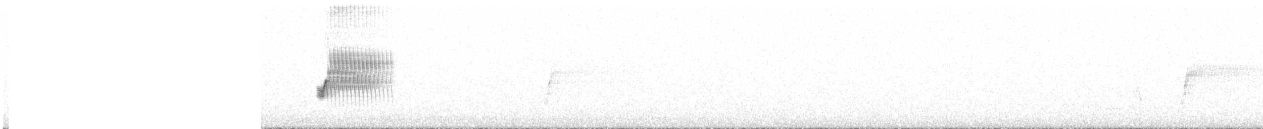 Тауї плямистий - ML585277211