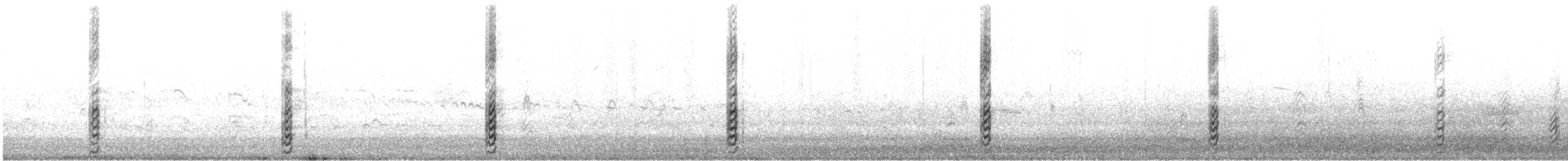 Black Skimmer - ML585291951
