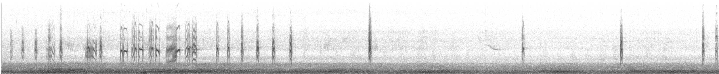 Petite Sterne - ML585294561