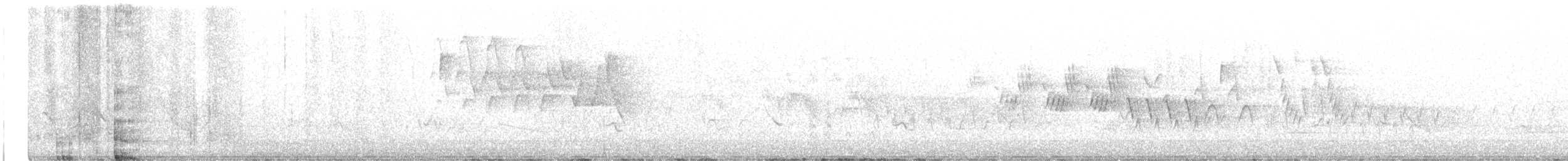 svartbrystparula - ML585300371