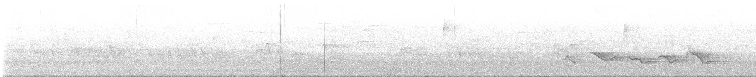 Piranga écarlate - ML585303201