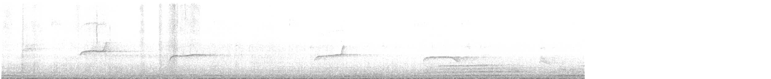 Çizgili Boğazlı Çalı Tiranı - ML585325071