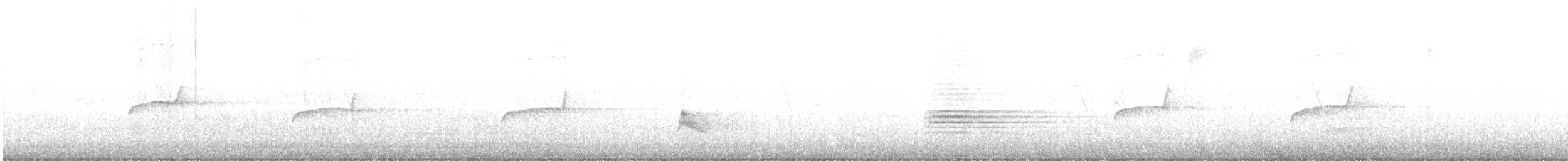 Çizgili Boğazlı Çalı Tiranı - ML585325171