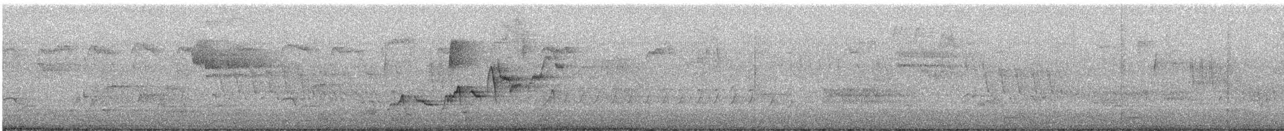 Swainson's Thrush - ML585336801