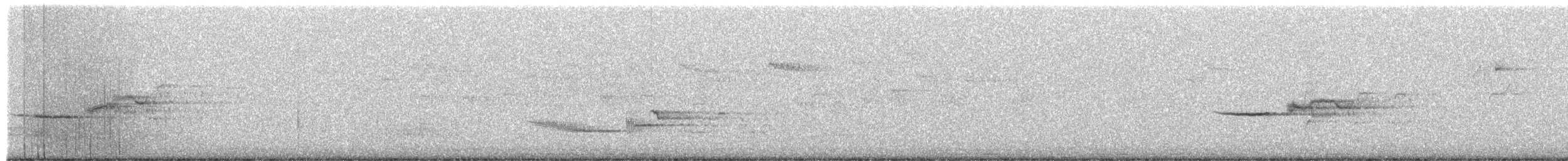Дрізд-короткодзьоб плямистоволий - ML585371641