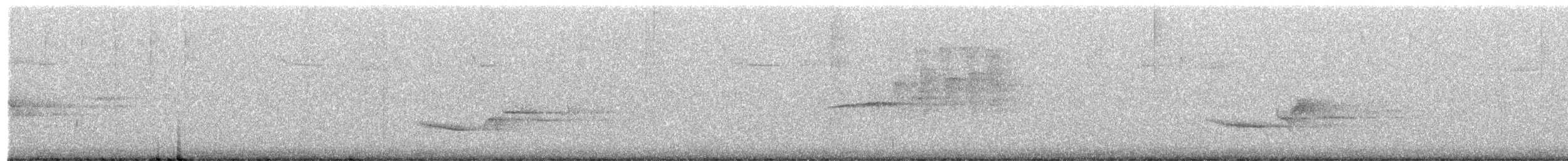 Дрізд-короткодзьоб плямистоволий - ML585371681