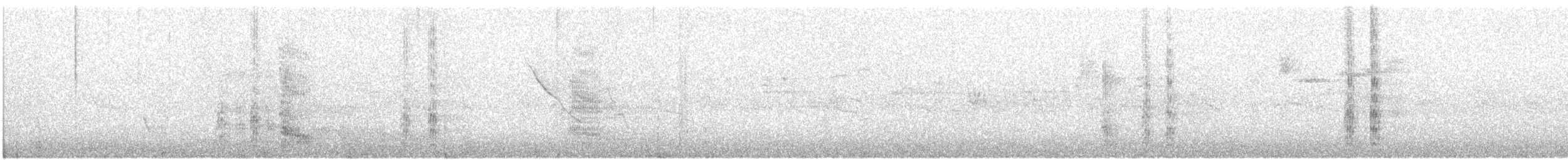 Mouette argentée (novaehollandiae/forsteri) - ML585404931