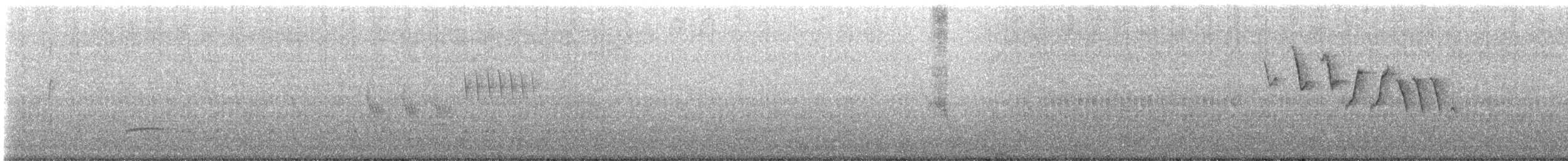 Тауї плямистий - ML585408401